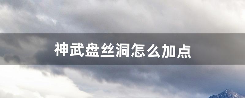 神武盘丝怎么加点