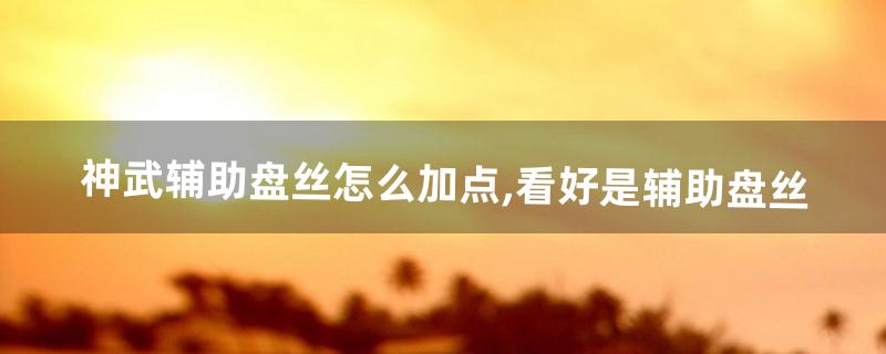 神武辅助盘丝怎么加点,看好是辅助盘丝(神武盘丝后期厉害吗)