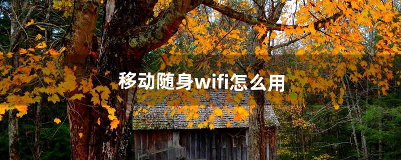 移动随身wifi怎么用（携带wifi是骗局不)