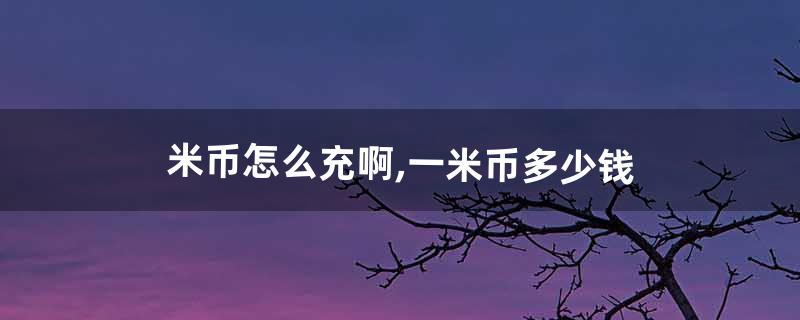 米币怎么获得 米币怎么获得