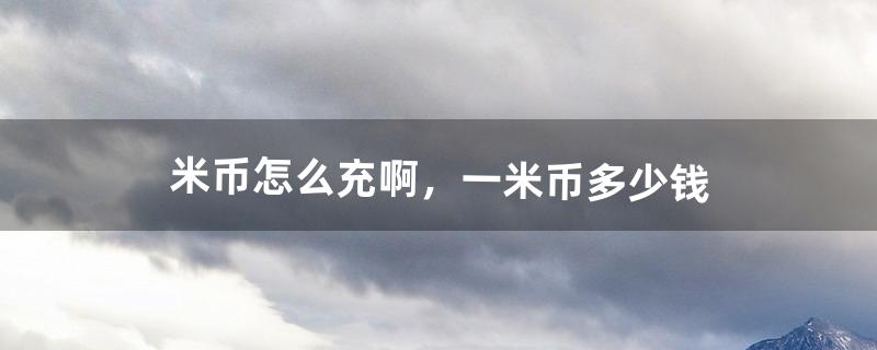 米币怎么充啊，一米币多少钱（米币在哪里用)