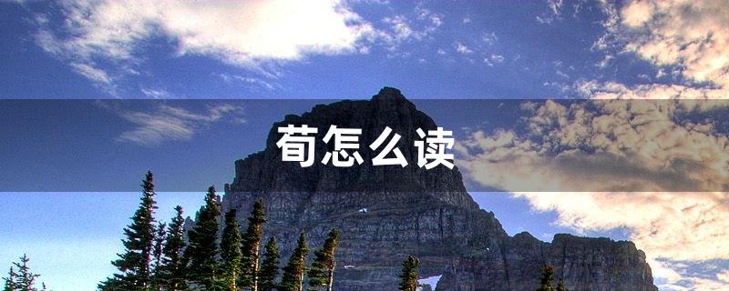 荀怎么读