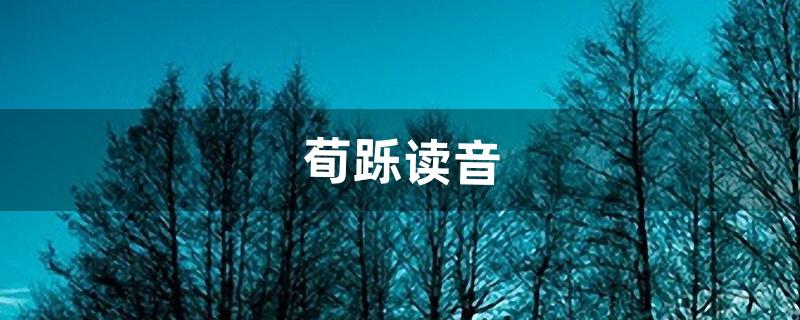 荀跞读音（荀跞个人介绍)