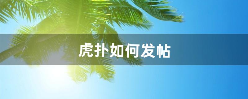 虎扑如何发帖（虎扑怎么发帖流量大)