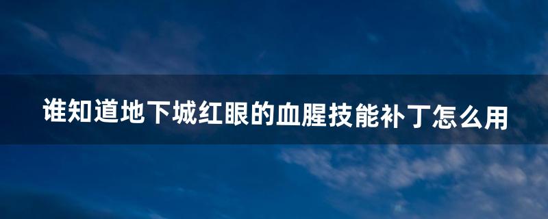 谁知道地下城红眼的血腥技能补丁怎么用（地下城与勇士红眼技能怎么是黑色)