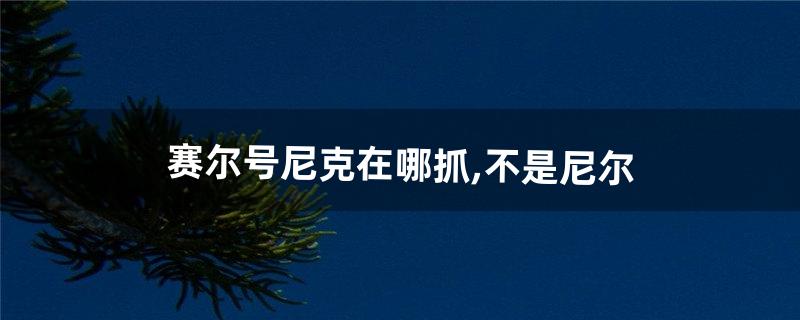 赛尔号尼克在哪抓,不是尼尔(赛尔号中尼克该怎么升到最高级别)