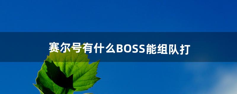 赛尔号有什么BOSS能组队打（赛尔号中能不能组队打boss)