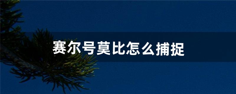 赛尔号莫比怎么捕捉（赛尔号莫比在哪儿得)