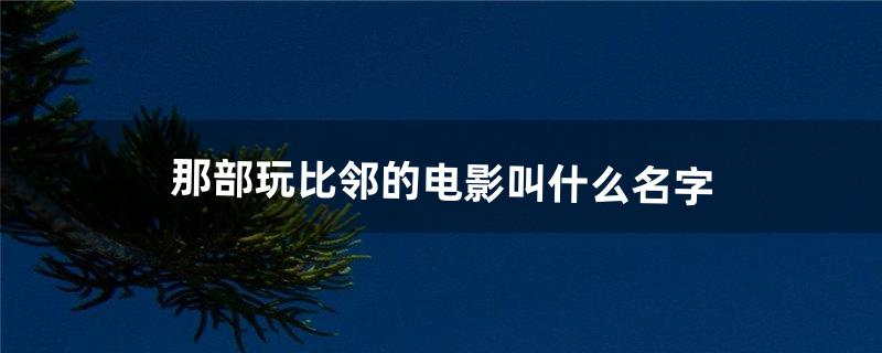 那部玩比邻的电影叫什么名字（阿富汗电影大全50部)