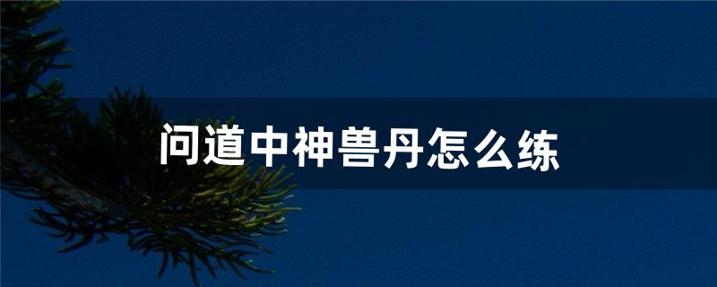 问道中神兽丹怎么练（问道顿悟丹使用方法)