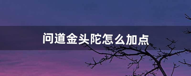 问道金头陀怎么加点（问道金头陀打什么天书)