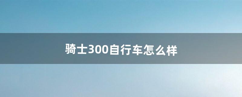 骑士300自行车怎么样（3000到5000左右旅行自行车)