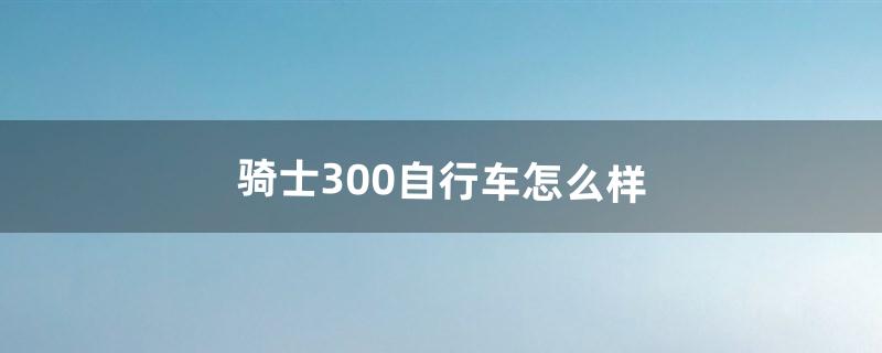 骑士300自行车怎么样（3000到5000左右旅行自行车)