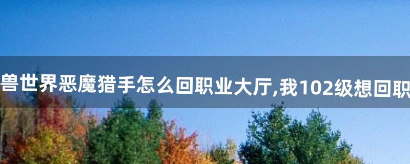 魔兽世界恶魔猎手怎么回职业大厅,我102级想回职业