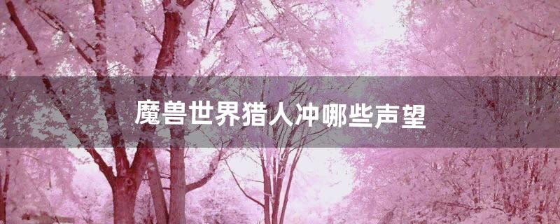 魔兽世界猎人冲哪些声望（tbc猎人70级后必刷的声望)
