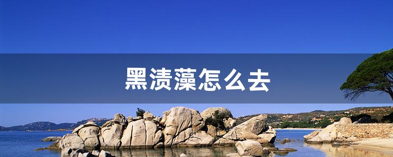 黑渍藻怎么去（炒菜锅内黑渍怎么清除)