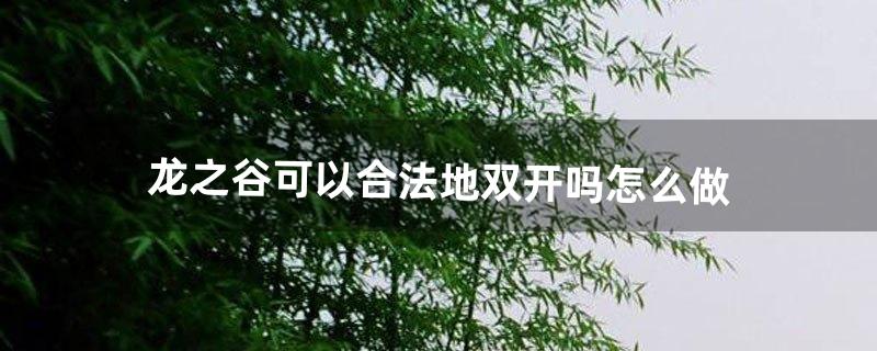 龙之谷可以合法地“双开”吗怎么做（龙之谷双开用什么软件)